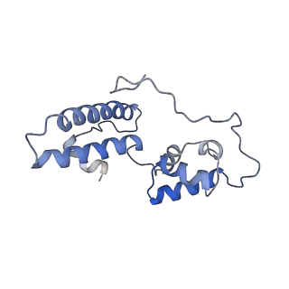 22433_7jqc_P_v1-3
SARS-CoV-2 Nsp1, CrPV IRES and rabbit 40S ribosome complex