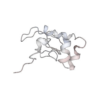 22433_7jqc_Q_v1-2
SARS-CoV-2 Nsp1, CrPV IRES and rabbit 40S ribosome complex