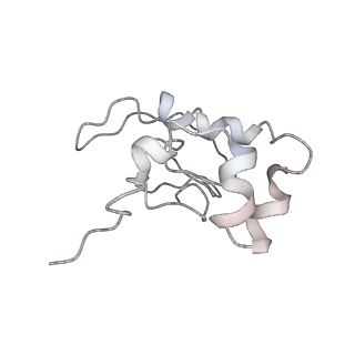 22433_7jqc_Q_v1-3
SARS-CoV-2 Nsp1, CrPV IRES and rabbit 40S ribosome complex