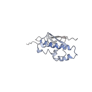 22433_7jqc_R_v1-2
SARS-CoV-2 Nsp1, CrPV IRES and rabbit 40S ribosome complex