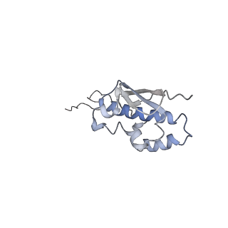 22433_7jqc_R_v1-3
SARS-CoV-2 Nsp1, CrPV IRES and rabbit 40S ribosome complex