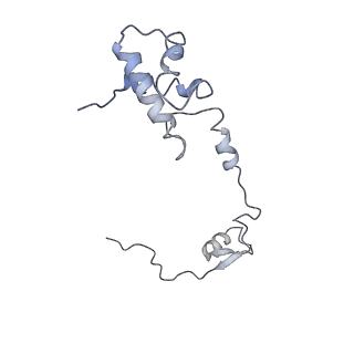 22433_7jqc_S_v1-2
SARS-CoV-2 Nsp1, CrPV IRES and rabbit 40S ribosome complex