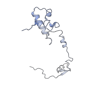 22433_7jqc_S_v1-3
SARS-CoV-2 Nsp1, CrPV IRES and rabbit 40S ribosome complex