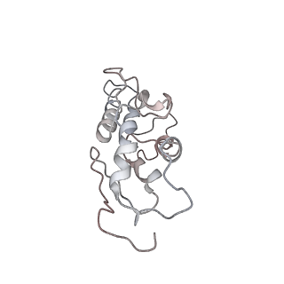 22433_7jqc_T_v1-2
SARS-CoV-2 Nsp1, CrPV IRES and rabbit 40S ribosome complex