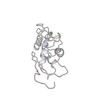 22433_7jqc_T_v1-3
SARS-CoV-2 Nsp1, CrPV IRES and rabbit 40S ribosome complex