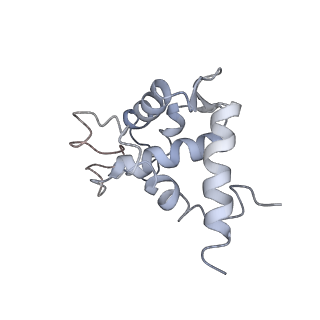 22433_7jqc_U_v1-2
SARS-CoV-2 Nsp1, CrPV IRES and rabbit 40S ribosome complex