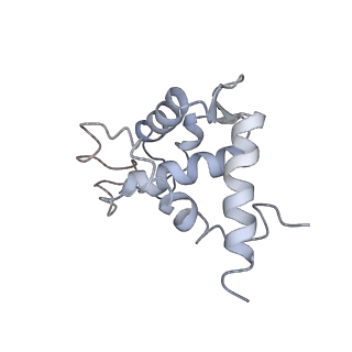 22433_7jqc_U_v1-3
SARS-CoV-2 Nsp1, CrPV IRES and rabbit 40S ribosome complex