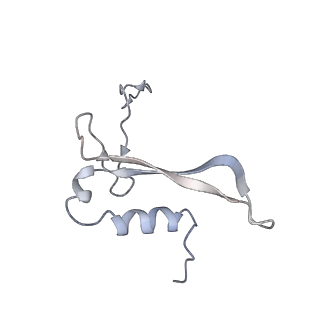 22433_7jqc_W_v1-2
SARS-CoV-2 Nsp1, CrPV IRES and rabbit 40S ribosome complex