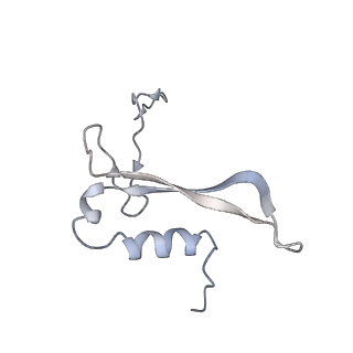 22433_7jqc_W_v1-3
SARS-CoV-2 Nsp1, CrPV IRES and rabbit 40S ribosome complex