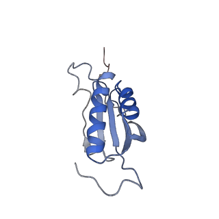 22433_7jqc_X_v1-2
SARS-CoV-2 Nsp1, CrPV IRES and rabbit 40S ribosome complex