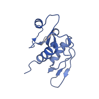 22433_7jqc_Y_v1-2
SARS-CoV-2 Nsp1, CrPV IRES and rabbit 40S ribosome complex