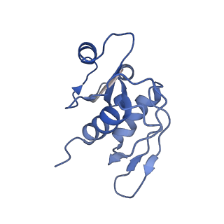 22433_7jqc_Y_v1-3
SARS-CoV-2 Nsp1, CrPV IRES and rabbit 40S ribosome complex