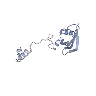 22433_7jqc_Z_v1-2
SARS-CoV-2 Nsp1, CrPV IRES and rabbit 40S ribosome complex