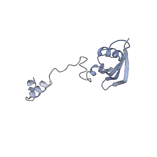 22433_7jqc_Z_v1-3
SARS-CoV-2 Nsp1, CrPV IRES and rabbit 40S ribosome complex