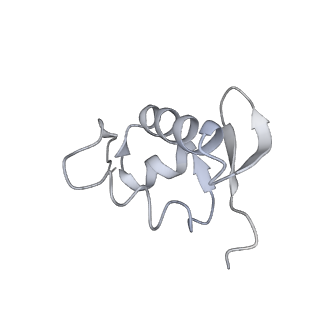 22433_7jqc_a_v1-2
SARS-CoV-2 Nsp1, CrPV IRES and rabbit 40S ribosome complex