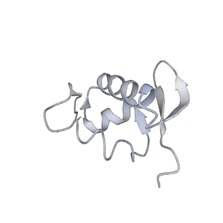 22433_7jqc_a_v1-3
SARS-CoV-2 Nsp1, CrPV IRES and rabbit 40S ribosome complex