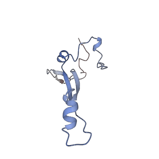 22433_7jqc_b_v1-2
SARS-CoV-2 Nsp1, CrPV IRES and rabbit 40S ribosome complex