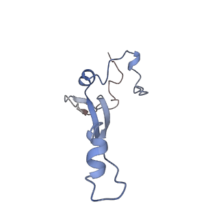 22433_7jqc_b_v1-3
SARS-CoV-2 Nsp1, CrPV IRES and rabbit 40S ribosome complex