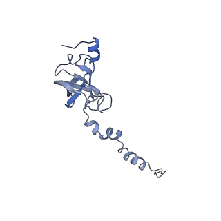 22433_7jqc_c_v1-2
SARS-CoV-2 Nsp1, CrPV IRES and rabbit 40S ribosome complex