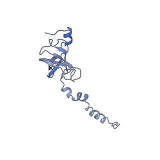 22433_7jqc_c_v1-3
SARS-CoV-2 Nsp1, CrPV IRES and rabbit 40S ribosome complex