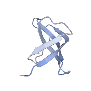 22433_7jqc_d_v1-3
SARS-CoV-2 Nsp1, CrPV IRES and rabbit 40S ribosome complex