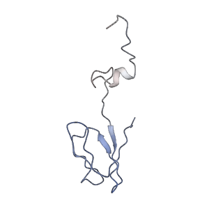 22433_7jqc_e_v1-2
SARS-CoV-2 Nsp1, CrPV IRES and rabbit 40S ribosome complex