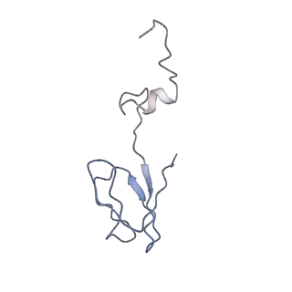 22433_7jqc_e_v1-3
SARS-CoV-2 Nsp1, CrPV IRES and rabbit 40S ribosome complex