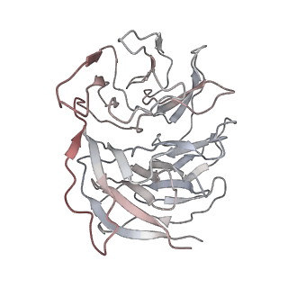 22433_7jqc_h_v1-2
SARS-CoV-2 Nsp1, CrPV IRES and rabbit 40S ribosome complex