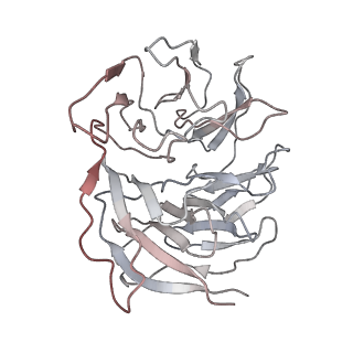 22433_7jqc_h_v1-3
SARS-CoV-2 Nsp1, CrPV IRES and rabbit 40S ribosome complex