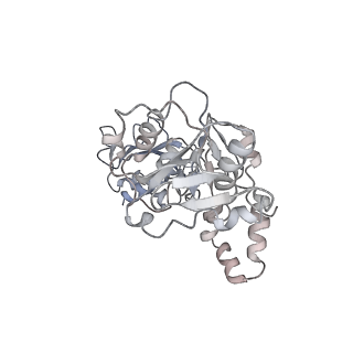 22441_7jqq_A_v1-1
The bacteriophage Phi-29 viral genome packaging motor assembly