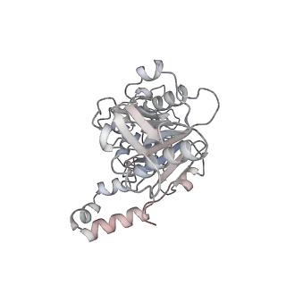 22441_7jqq_B_v1-0
The bacteriophage Phi-29 viral genome packaging motor assembly