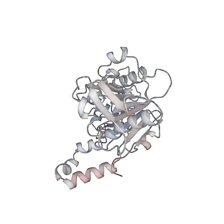 22441_7jqq_B_v1-1
The bacteriophage Phi-29 viral genome packaging motor assembly