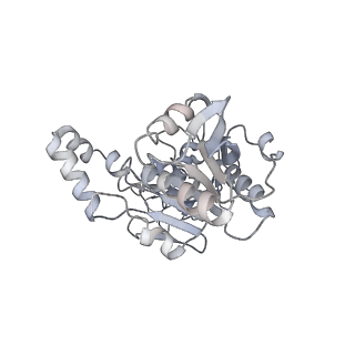 22441_7jqq_C_v1-1
The bacteriophage Phi-29 viral genome packaging motor assembly