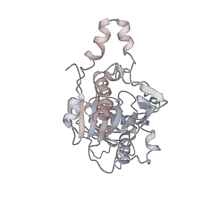 22441_7jqq_D_v1-0
The bacteriophage Phi-29 viral genome packaging motor assembly