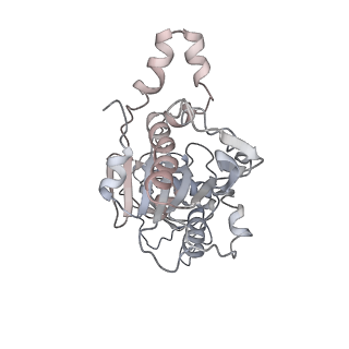 22441_7jqq_D_v1-1
The bacteriophage Phi-29 viral genome packaging motor assembly