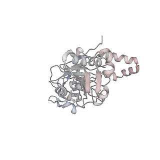 22441_7jqq_E_v1-0
The bacteriophage Phi-29 viral genome packaging motor assembly