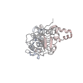 22441_7jqq_E_v1-1
The bacteriophage Phi-29 viral genome packaging motor assembly