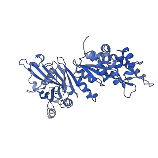 36563_8jqb_C_v1-1
Structure of Gabija GajA-GajB 4:4 Complex