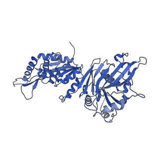 36563_8jqb_D_v1-1
Structure of Gabija GajA-GajB 4:4 Complex