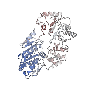 36563_8jqb_E_v1-1
Structure of Gabija GajA-GajB 4:4 Complex