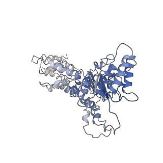 9872_6jq0_A_v1-1
CryoEM structure of Abo1 Walker B (E372Q) mutant hexamer - ATP complex