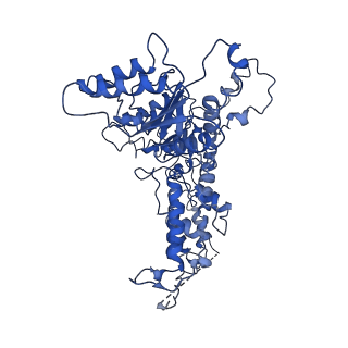 9872_6jq0_C_v1-1
CryoEM structure of Abo1 Walker B (E372Q) mutant hexamer - ATP complex