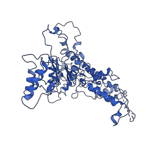 9872_6jq0_D_v1-1
CryoEM structure of Abo1 Walker B (E372Q) mutant hexamer - ATP complex