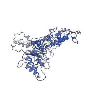 9872_6jq0_E_v1-1
CryoEM structure of Abo1 Walker B (E372Q) mutant hexamer - ATP complex