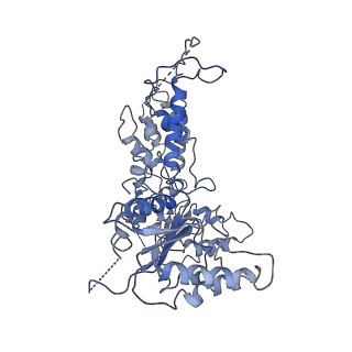 9872_6jq0_F_v1-1
CryoEM structure of Abo1 Walker B (E372Q) mutant hexamer - ATP complex