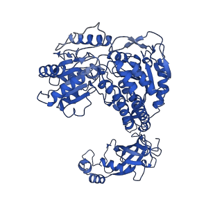 9873_6jql_B_v1-2
Structure of PaaZ, a bifunctional enzyme