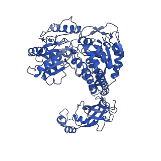 9873_6jql_B_v1-3
Structure of PaaZ, a bifunctional enzyme