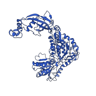 9873_6jql_C_v1-2
Structure of PaaZ, a bifunctional enzyme