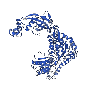 9873_6jql_C_v1-3
Structure of PaaZ, a bifunctional enzyme