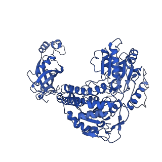 9873_6jql_D_v1-2
Structure of PaaZ, a bifunctional enzyme